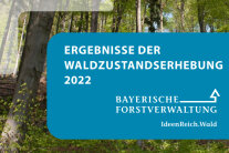 Schriftzug "Ergebnisse der Waldzustandserhebung 2022" auf blauem Grund mit Waldbild im Hintergrund.