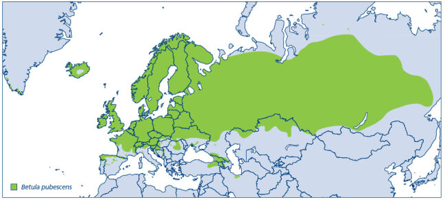 Grüne Fläche von West-, über Nord und Zentral Europa, über Russland fast bis an die Pazifikküste.