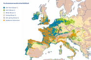 Artverbreitungsmodell der Edelkastanie mit Maxima in Spanien, Frankreich, Italien und auf dem Balkan
