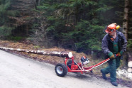 Forstwirt mit Schutzausrüstung zieht Holzmully mit Baumstamm hinter sich her.