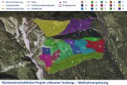 Luftfoto des Untersuchungsgebiets mit farbig markierten Teilflächen sowie Markierungen für Lawinennetze, Holzschneebrücken, Steige, etc