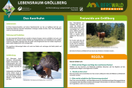 Information für Touristen über den Bergwald mit dem Auerhahn und Bergweide
