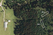 Luftbild von einem Waldstück mit Wiese und Hütte.