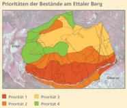 Auf einem Luftbild des Bereichs "Ettaler Berg" wurde der Wald in vier farblich verschiedene Prioritätsstufen unterteilt. 