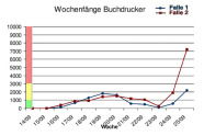 Die Fangzahlen für Borkenkäfer steigen bis zur 20. Woche kontinuierlich. Sinken dann vorübergehend ab, um ab der 24. Woche wieder deutlich anzusteigen.