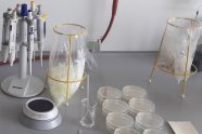 Labortisch mit Petrischalen und Mikroskop