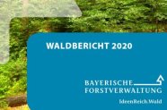 Titel "Waldbericht 2020" mit Schriftzug und Waldfoto im Hintergrund