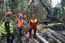 Forstminister Helmut Brunner mit Waldarbeitern und Harvester im Wald. (Foto: StMELF)
