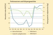 Aktuelle Daten aus Bayern zeigen hohe Körpergewichte und Fettreserven im Winter sowie keine Gewichtsverluste im Spätwinter und Frühjahr. Die Reserven werden nicht gebraucht.