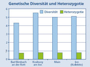 Säulendiagramm zur genetische Diversität und beobachtete Heterozygotie in den vier bayerischen Schwarzpappelvorkommen an Inn, Main und Rott 