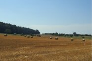 Getreidefeld nach der Ernte