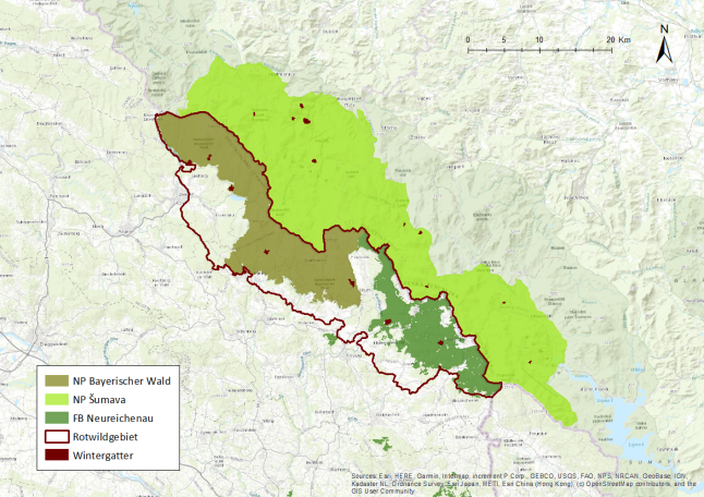 Projektgebiet Leberegel-Projekt LWF mit Bereichen in den Nationalparken Bayerischer Wald und Sumava, sowie des Forstbetriebs Neureichenau der Bayerischen Staatsforsten