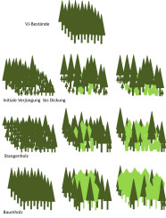 Skizzen mit verschiedenen Waldbildern.