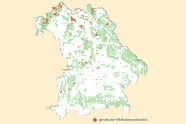 Umrisskarte von Bayern: Geneteische Nachweise für Wildkatzen sind fast auschließlich in der Nordhälfte Bayerns zu finden.