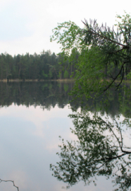 Ein See im Wald.