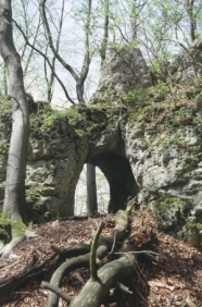 Teile einer Burgruine im Wald.