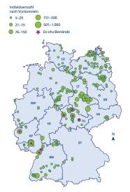 Unterschiedlich große Wildapfelvorkommen auf einer politischen Umrisskarte Deutschlands. 