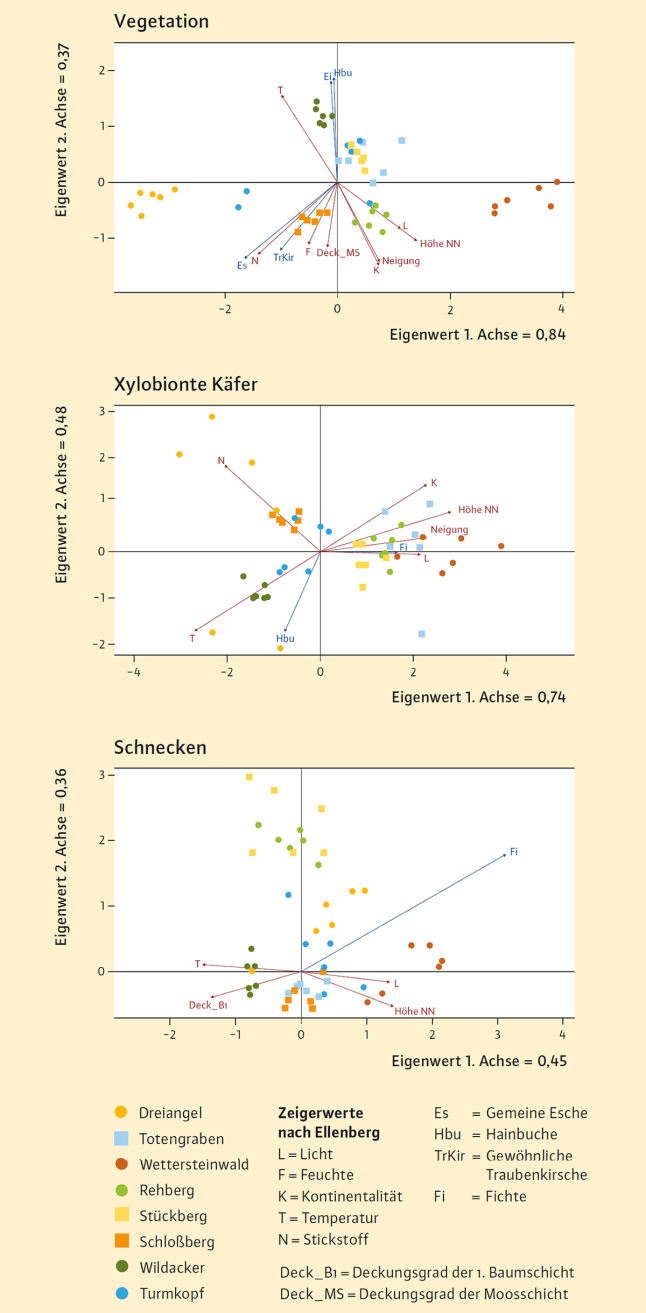 Ähnlichkeitsanalyse mit Hilfe der Entzerrten Korrespondenzanalyse (DCA) für die drei Artengruppen Vegetation, Xylobionte Käfer und Schnecken