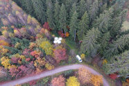 Luftbild einer Drohne von einem Fahrzeug an Wegekreuzung im herbstbunten Wald.