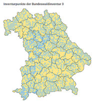 Auf dem Bild sieht man eine Umrisskarte von Bayern. Auf der Fläche sind zahlreiche blaue Punkte verteilt. Dies sind die Stichprobenpunkte der Bundeswaldinventur 3.