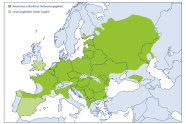 Karte von Europa mit grün eingefärbtem Verbreitungsgebiet von Spanien im Westen, nach Südosteuropa, nördliche Grenze ist Deutschland , im Osten weite Teile Russlands