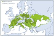 Verbreitung der Robinie in Europa: Im Westen Grenze Spanien/Frankreich, im Süden Mitte Italien und Türkei, im Osten bis Russland, im Norden Deutschland/Dänemark