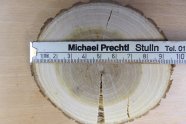 Scheibe eines Robinienstamms mit Zollstock darauf: Durchmesser knapp 10 cm
