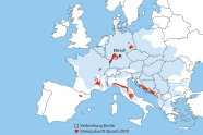 Europakarte mit Verbreitungsgebiet der Buche (ganz Europa); in rot markiertwie das Klima 2070 in Ebrach sein wird: ähnlich Adriaküste und Südfrankreich