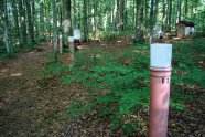Bodenwassermessstation mit Rohren im Boden im Wald