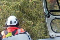 Eine Person mit Helm sitz am Rand eines Hubschraubers und nimmt Proben von Zweigen.