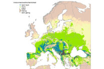 Grafik mit Europakarte: Bewertung der Anbaueignung von Baumhasel im Klimawandel