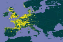 Europakarte, die die Verbreitungsschwerpunkte der Stechpalme zeigt.