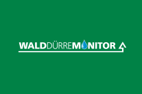 Walddürremonitor Logo