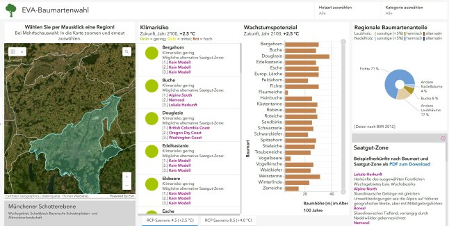 Screenshot einer Webanwendung: EVA Baumartenwahl