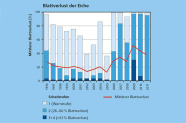 In den Jahren 2009 und 2010 litten die Eichen an der WKS Würzburg unter starkem Blattverlust. 2011 verbesserte sich die Situation wieder.