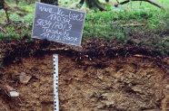 Rostfarbener Boden mit Meterstab und Schild