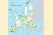 Karte von Europa auf der Vogelschutzgebiete und FFH-Schutzgebiete eingezeichnet sind.