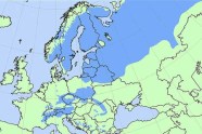 Fichtenverbreitungsgebiet in Europa
