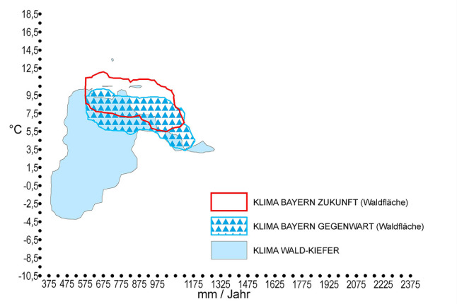 Klimahülle der Waldkiefer (Pinus sylvestris) in Bayern. Auf der X-Achse ist der durchschnittliche Jahresniederschlag in mm, auf der Y-Achse die Jahresdurchschnittstemperatur in °C zu finden. Das zukünftige trockenere und wärmere Klima Bayerns ist rot markiert. Das für die Waldkiefer optimale Klima, welches als hellblaue Fläche eingezeichnet ist, deckt sich nur in Teilen -etwa einem Drittel- mit dem künftigen Klima in Bayern. Der gegenwärtige Klimabereich Bayerns ist blau umrandet und mit blauen Dreiecken schraffiert und deckt sich in großen Teilen mit dem Kiefernoptimum.