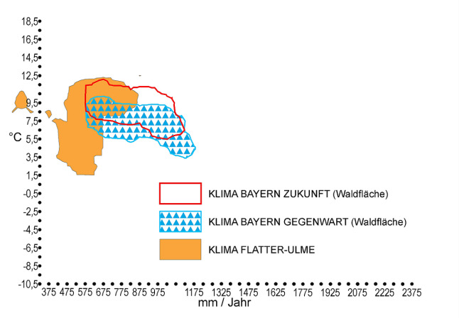 Das Diagramm zeigt anhand des Jahresniederschlages und der Jahresdurchschnittstemperatur das gegenwärtige und zukünftige Klima in Bayern sowie die klimatisch mögliche Verbreitung der Flatterulme. Die klimatischen Bedingungen verändern sich leicht zum Positiven für die Flatterulme.