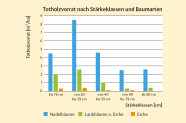 Säulendiagramm zeigt die Aufteilung des Totholzvorrates nach Stärkeklassen und Baumartengruppen.