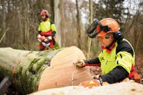 Zwei Personen mit Schutzausrüstung in warnfarben arbeiten an einem Baumstamm.