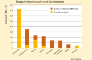 Säulendiagramm zeigt den Energieholzverbrauch nach Sortimenten in den Privathaushalten.