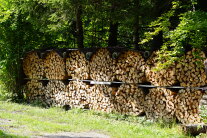 Brennholzpolter mit Abdeckung im Wald