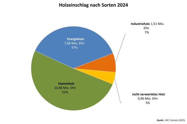 Kreisdiagramm zeigt Holzeinschlag in Bayern 2024 nach Sorten