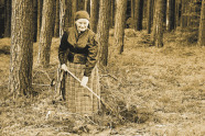 Historische Fotografie: Ältere Dame recht Nadelstreu im Bestand
