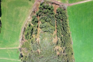 Luftbild eines Waldes