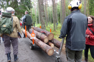 Hubwagen beladen mit Holz, wird von einem Mann händisch durch den Wald gezogen