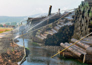 Große Holzpolter, die von einer Beregnungsanlage mit Wasser bespritzt werden.