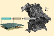 Grafik zeigt ein für Bayern berechnetes Vegetationshöhenmodelle.